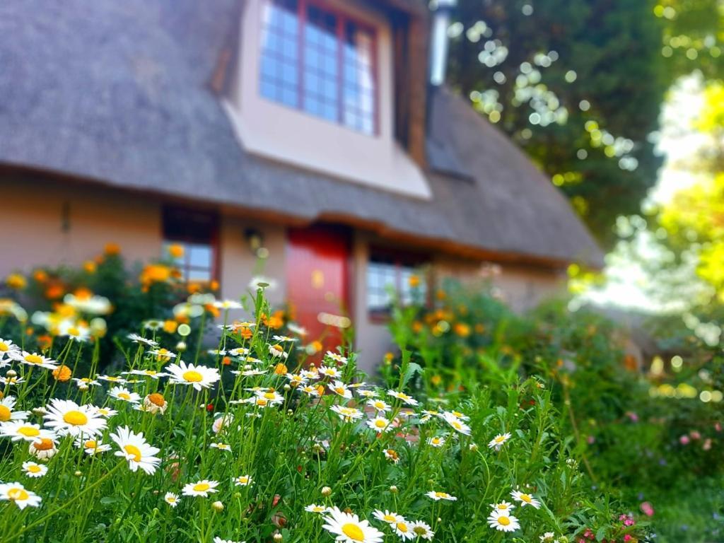 Granny Mouse Country House & Spa Balgowan エクステリア 写真